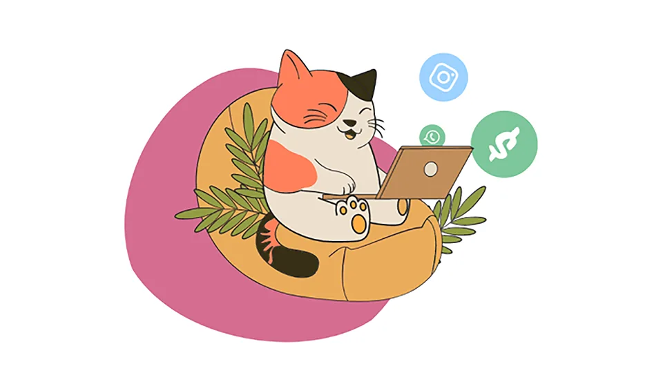 Lottie Animations in React