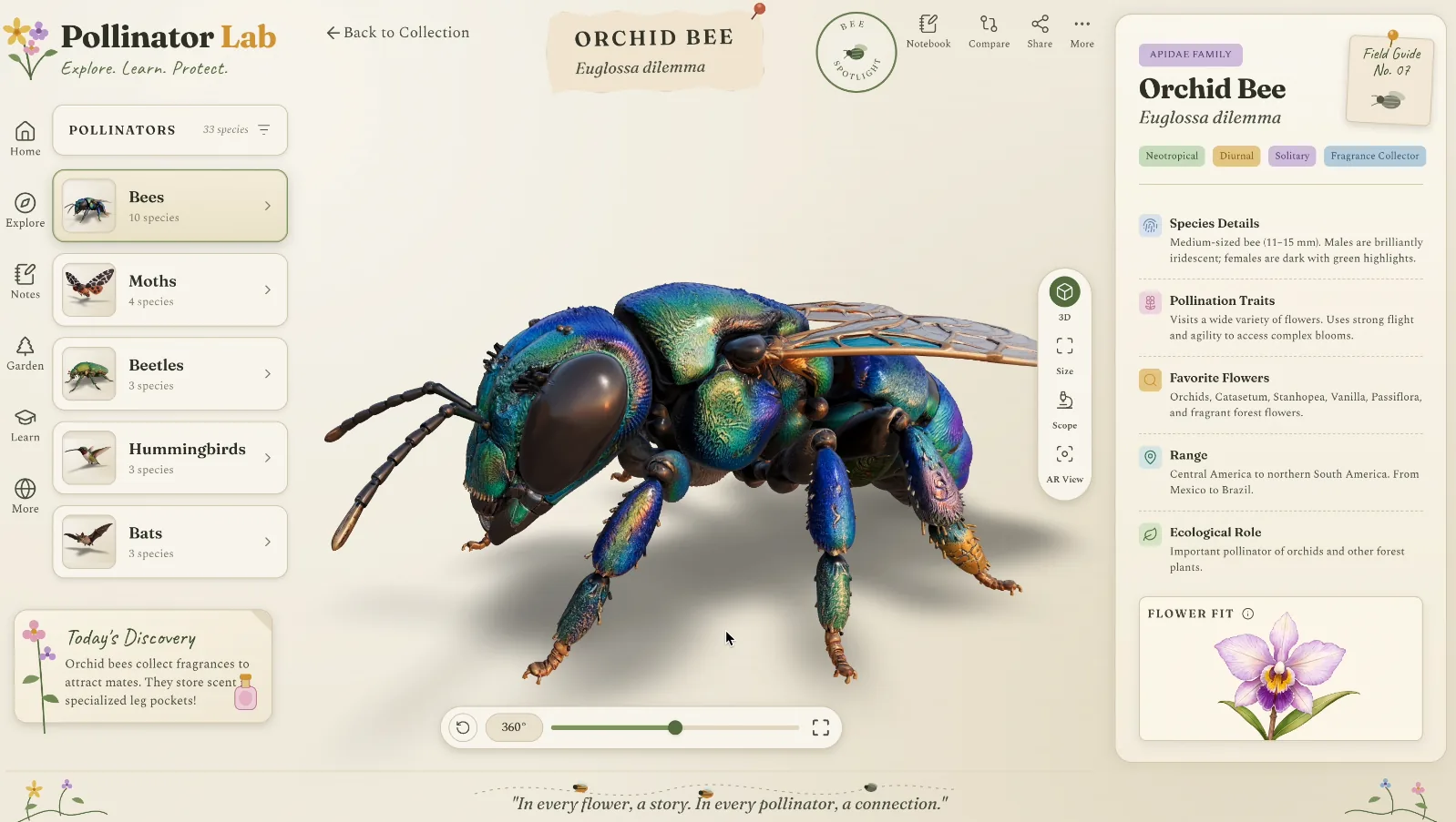 Pollinator Lab