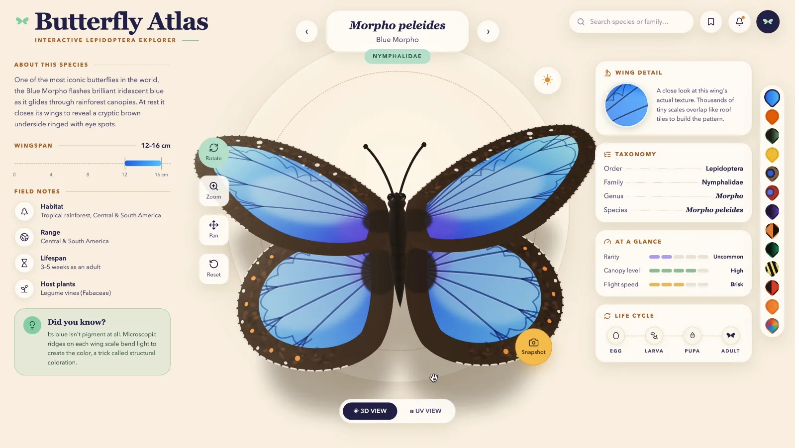 Butterfly Atlas