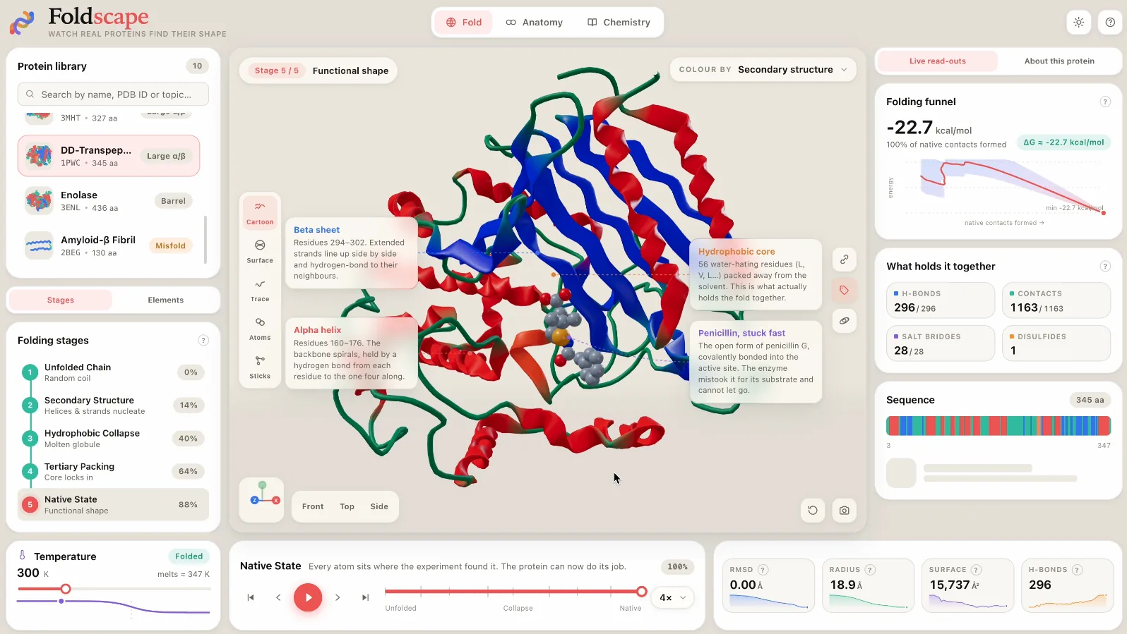 Protein Base