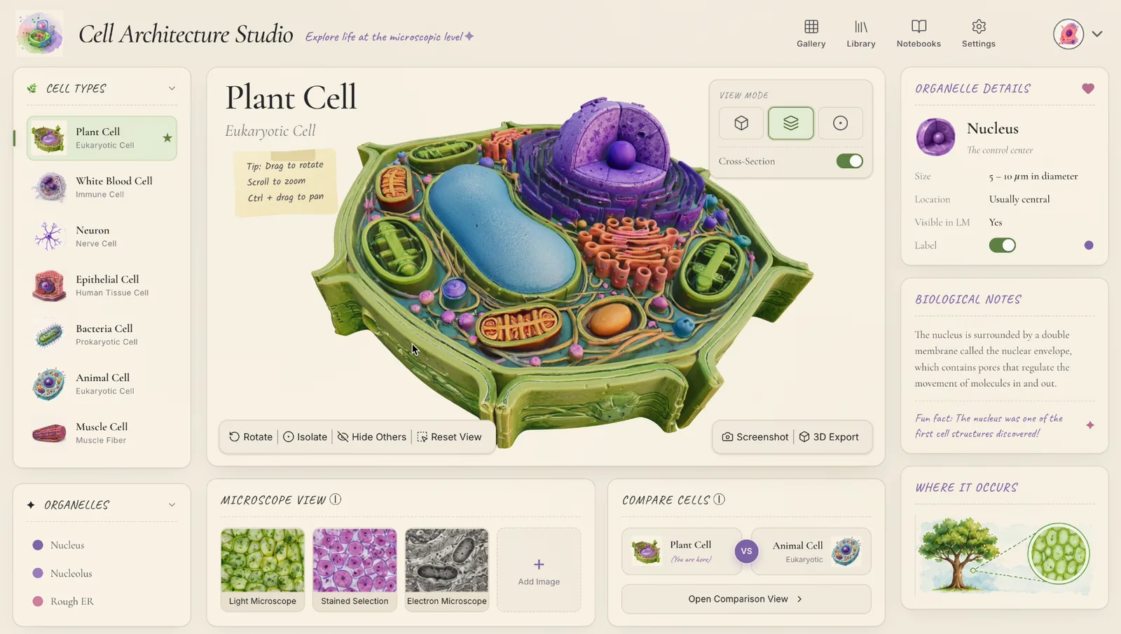 Cell Architecture Studio